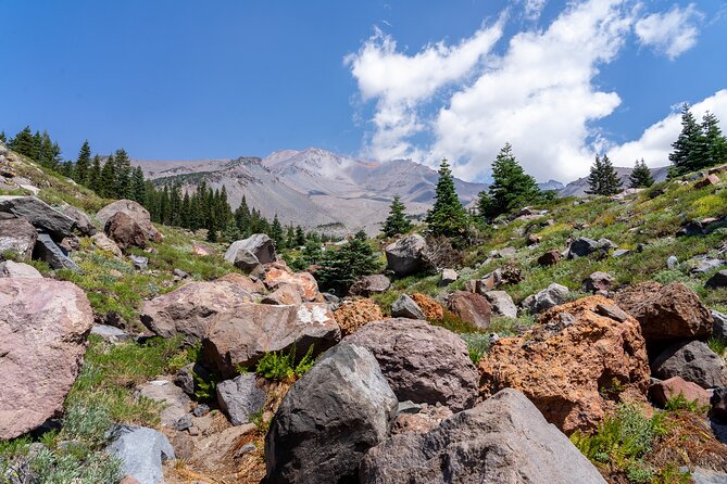 Half Day Tour to Faery Waterfalls, Castle Lake and Mount Shasta - Highlights of the Tour