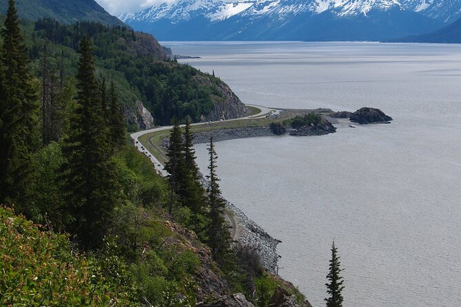 Half Day Tour Turnagain Arm - Alaska Wildlife Conservation Center - Inclusions and Amenities
