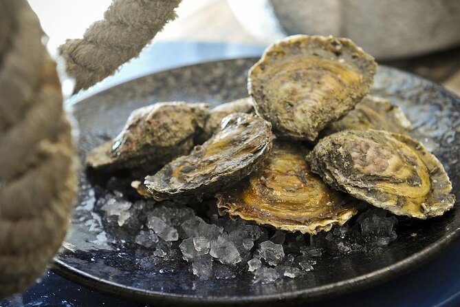 Half-Day Trip - Oysters in Ston - Accessibility and Additional Information
