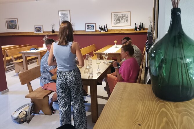 Half-Day Wine Tasting With Snacks and Ston Place Visit - Pickup and Meeting Details