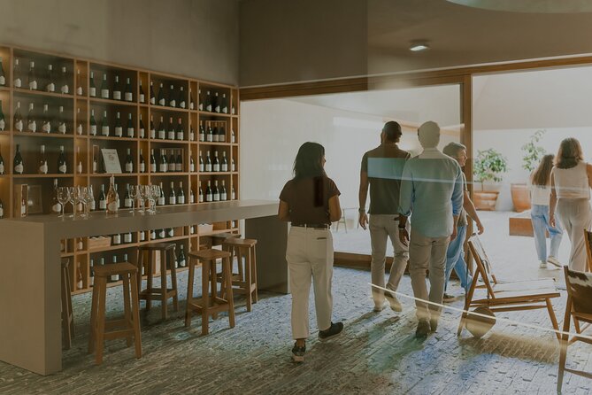 Half Day Wine Tour Around Evora - Health and Accessibility