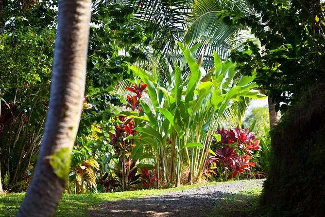 Halfway to Hana Tour Review: A Scenic Adventure - Garden of Eden Exploration