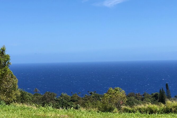 Hamakua Coast Farm Tour Review - Tour Experience