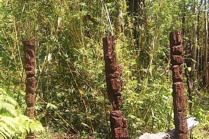 Hawaiian Ohia Tea and Tikis - Experience Highlights