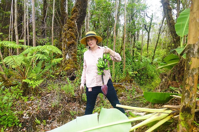 Hawaiian Rainforest Banana Cultivation Experience - Discover the Hosts Artistic Creations