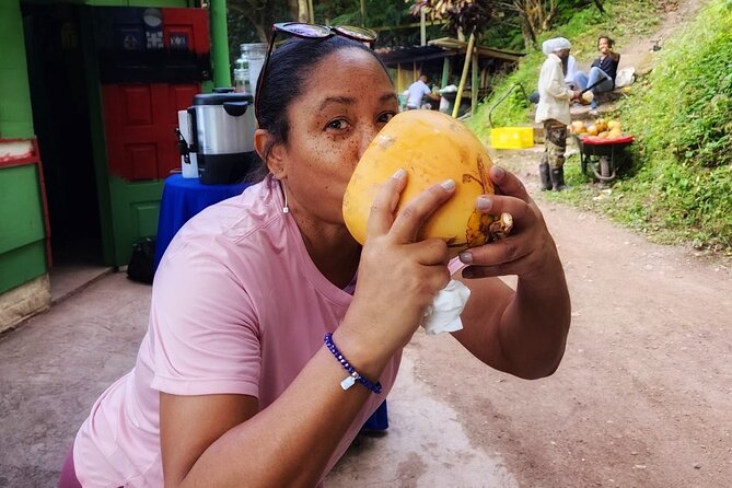 Healing Guided Nature Experience and Waterfall Brunch in Jamaica - Pricing Information
