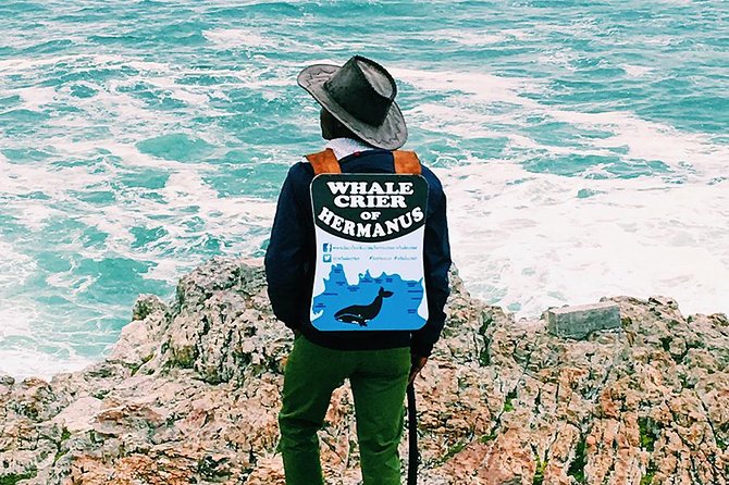 Hemel En Aarde Whale Coast + Wine Day Tour With Private Transfer - Transportation Details