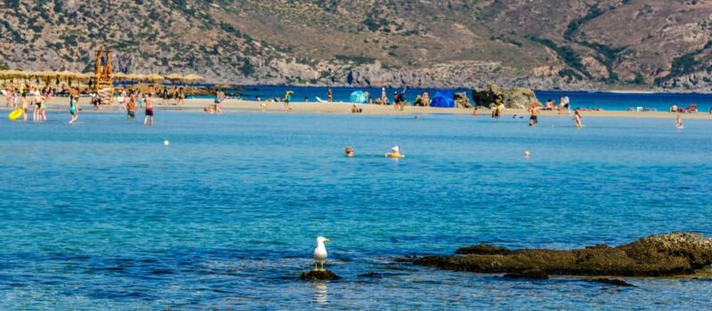 Heraklion: Elafonisi Beach: Discover the Pink Sand Paradise - Itinerary and Highlights
