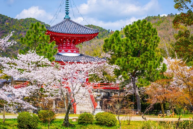 Hidden Temples in Kyoto a Self-Guided Zen Tour - Key Points