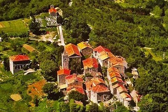 Highlights of Istria - Shore Excursion From Rijeka - Wine Tasting Experience