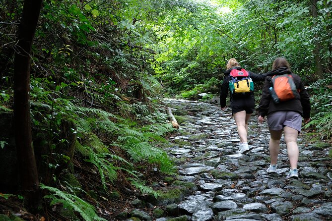 Hike Japan Heritage Hakone Hachiri (Half Day) - Health and Accessibility