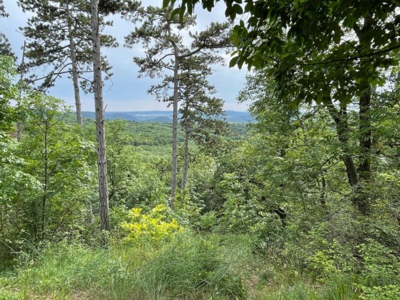Hike, Nature & Picturesque View Over Budapest - Scenic Highlights Along the Trail