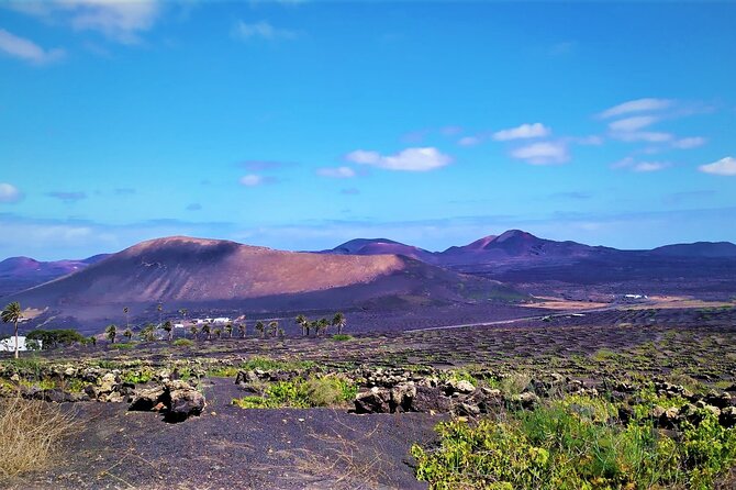 Hiking and Wine Tasting - Navigating the Hiking Trail