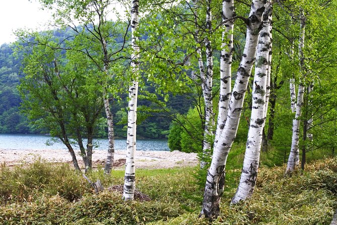 Hiking Around Yuno Lake: Revel in the Essence of Nikkos Nature and History - Exploring the Terrain and Terrain Features