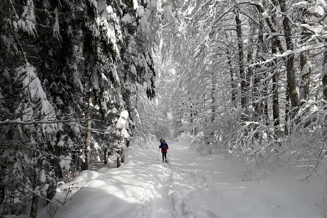 Hiking in Chamonix With a Guide - Pricing and Booking Options