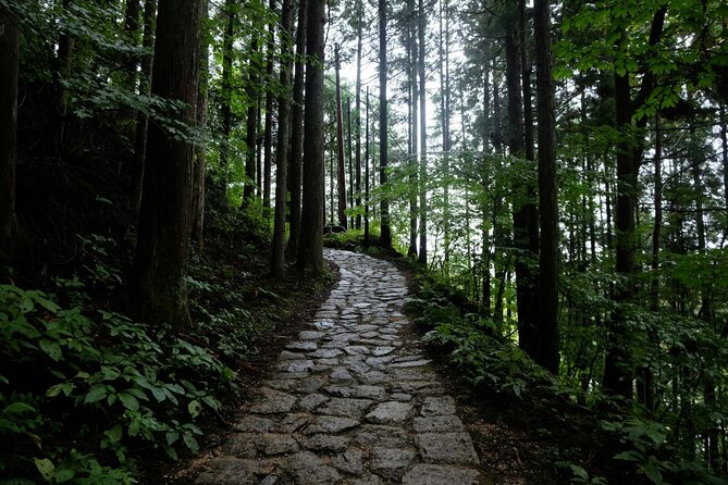 Hiking the Historic Nakasendo Trail- 1 Day Tour From Nagoya - Health and Accessibility