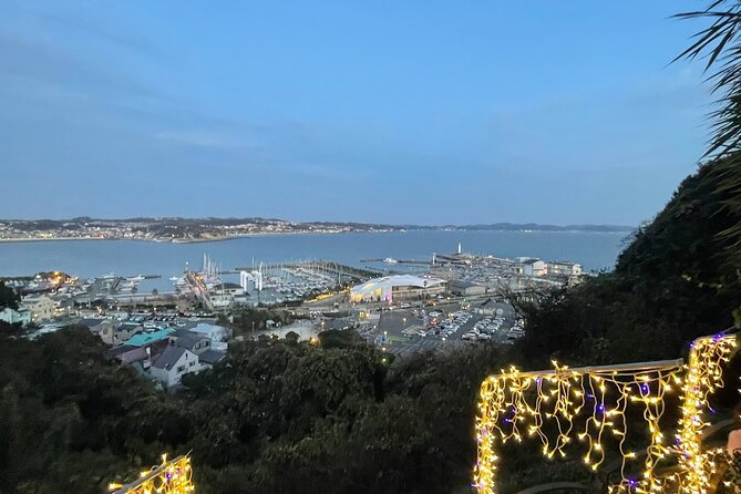 Hiking Tour in Enoshima With a Local Guide - Tour Inclusions and Costs