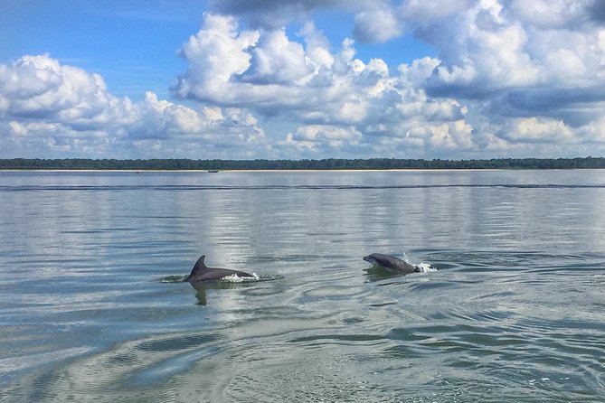 Hilton Head Dolphin Watching Cruise With Fireworks Display - Highlights of the Tour