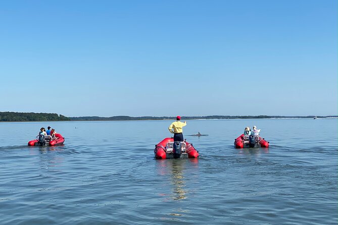 Hilton Head Guided Dolphin Watching & Sightseeing Tour via Mini Boat - Dolphin Watching Highlights