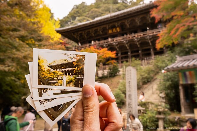Himeji in Shoshazan Engyo Ji Photography Tour Experience - Tour Schedule and Inclusions