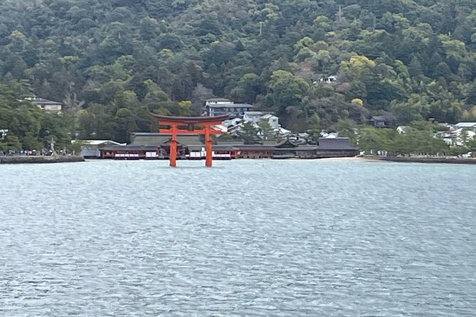 Hiroshima Private Guided Tour From Osaka or Kyoto - Accessibility