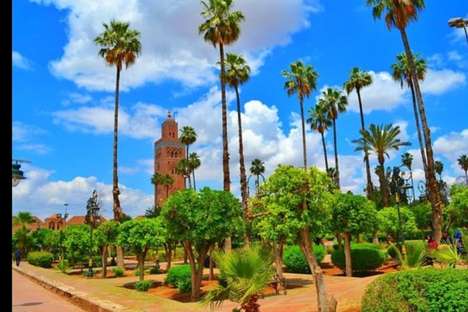 Historical and Cultural Tour of Marrakech - Accessibility Features