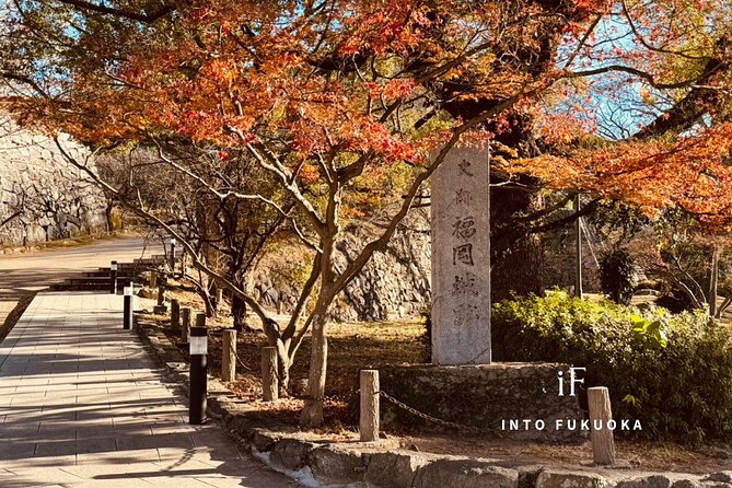 Historical Tour of Fukuoka Castle and Gokoku Shrine - Inclusions and Fees