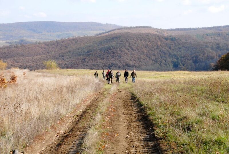 Hollókő: Village Tour and Folklore Programme - Highlights of the Experience