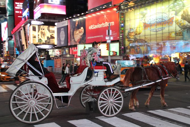 Horse Carriage Tour in New York Citys Central Park Small Loop - Accessibility Considerations