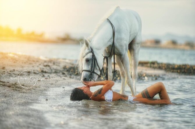 Horse Riding Adventure 2 Hours Sea and Desert - Hurghada - Pricing Information