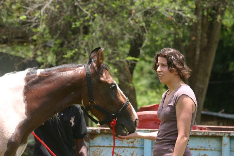 Horse Riding in Nuwara Eliya - Important Information