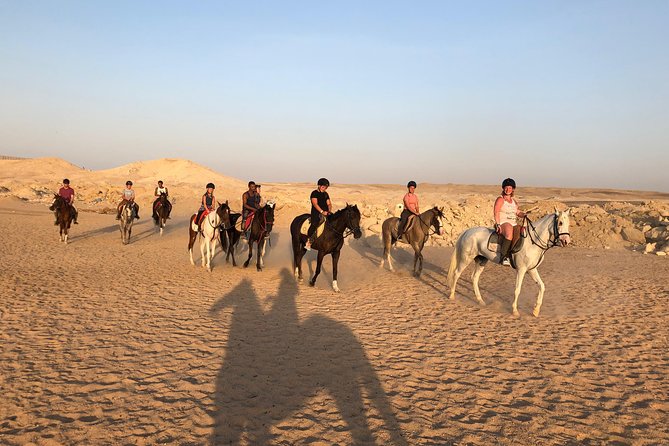 Horseback Or Camel Riding One Hour With Transfer - Sharm El Sheikh - Reviews and Feedback