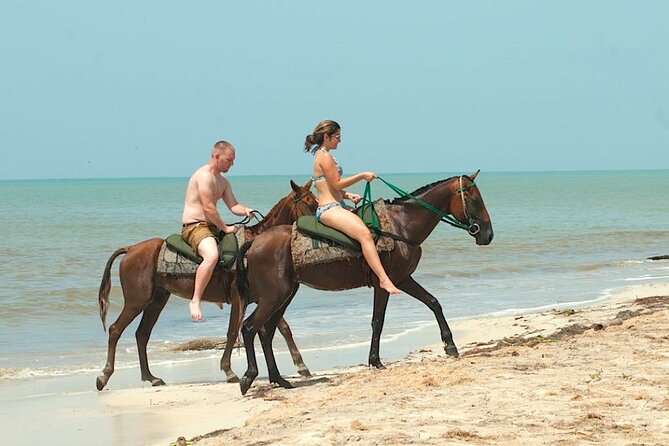 Horseback Ride and Swim With Blue Hole Ocho Rios or River Tubing - Scheduling and Availability