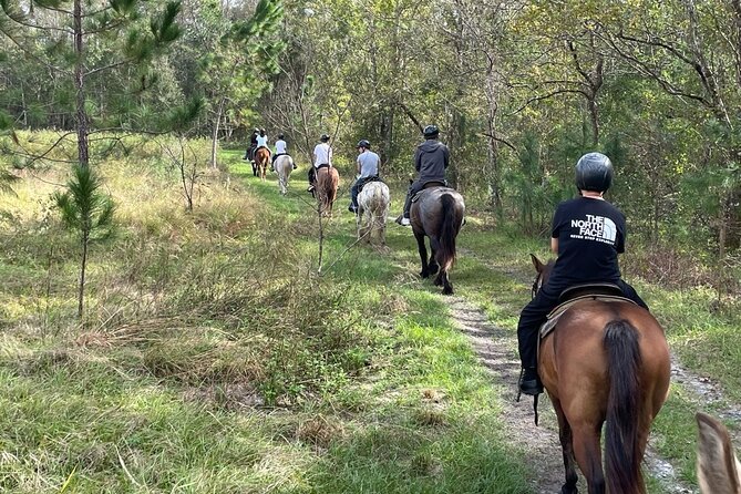 Horseback Ride on Scenic Lake Louisa Trails - Pricing and Cancellation Policy
