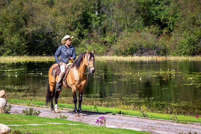 Horseback Ride Through Puerto Plata - Booking Your Adventure