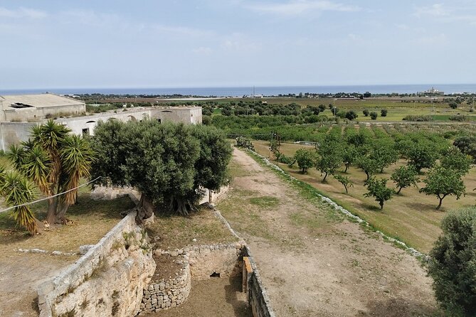 Horseback Riding Through the Apulian Countryside - Participation Requirements