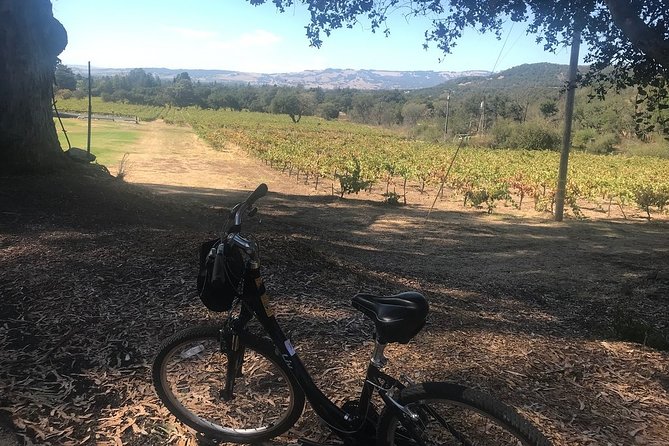 Independent Hassle-free Bike Rental in Sonoma - Customer Experience