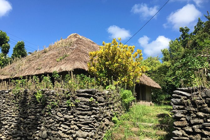 Iriomote Culture Discovery. Indigenous Culture on Iriomote Island - Tour Details and Accessibility