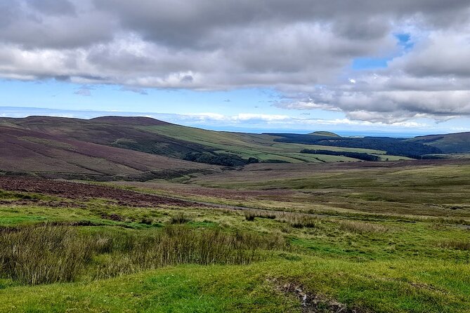 Isle of Man Wildlife and Scenic Adventure -Half Day - Wildlife and Scenic Experiences
