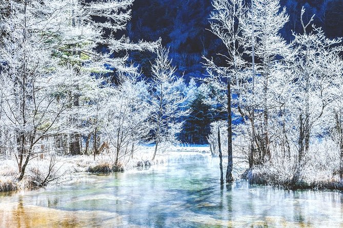 Japan Alps Kamikochi Day Hike With Government-Licensed Guide - Inclusions and Exclusions