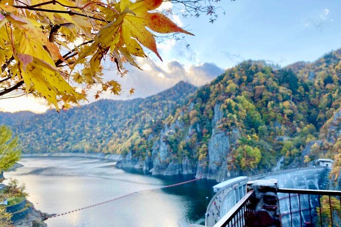 Jozankei Autumn Leaves Day Tour by Private Car - Language and Driver Information