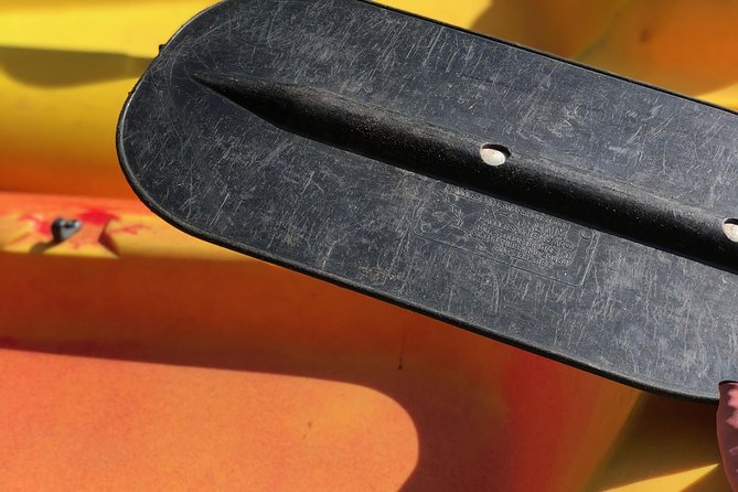 KaBrew: Traverse Citys Original Kayak, Bike & Brew Experience - Meeting and Logistics