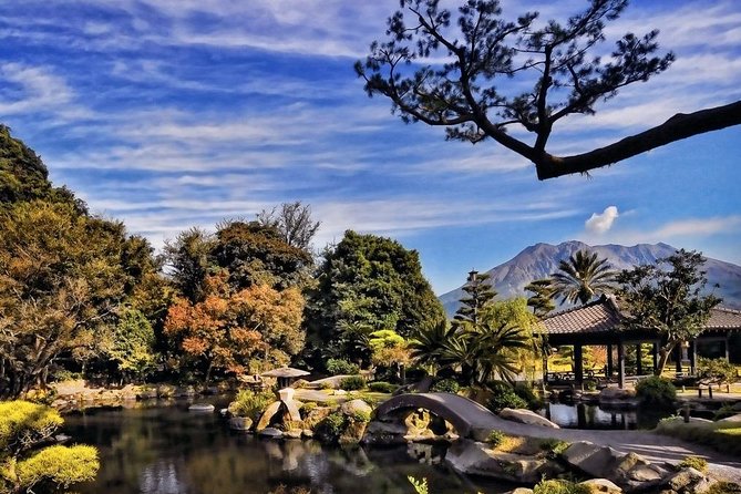 Kagoshima Full-Day Private Tour With Government-Licensed Guide - Experienced Local Guide