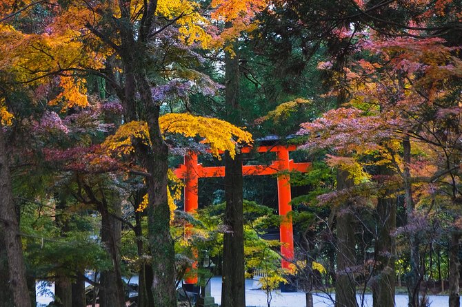 Kagoshima Private Customizable Half Day Tour - About the Tour Operator: Japan Awaits