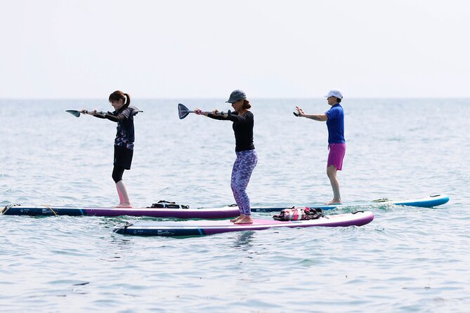Kagoshima Volcano SUP Yoga Activity Inc. Lunch & Transport - Health and Accessibility