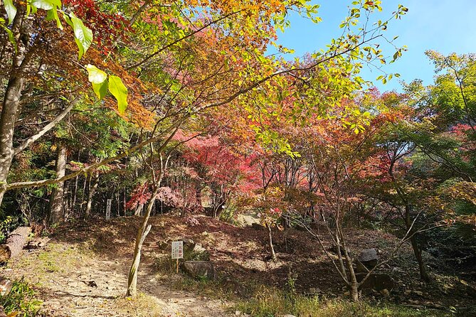 KAMOSU TABI The Sake Capital Saijo Wellness Tour - Discovering the Rich History and Culture of Saijo