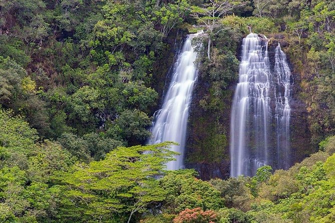 Kauai Highlights & Movie Sites - Tour Experience and Guide