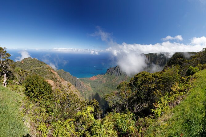 Kauai Island Tour : Journey to Waimea Canyon & More Highlights - Tour Experience and Highlights
