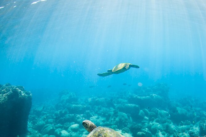 Kauais Ultimate Guided Shore Snorkel (NO BOAT): North Anini - Health and Safety Considerations