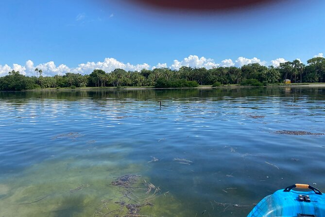 Kayak Adventure at Shell Key Preserve Review - Exploring the Shell Key Preserve